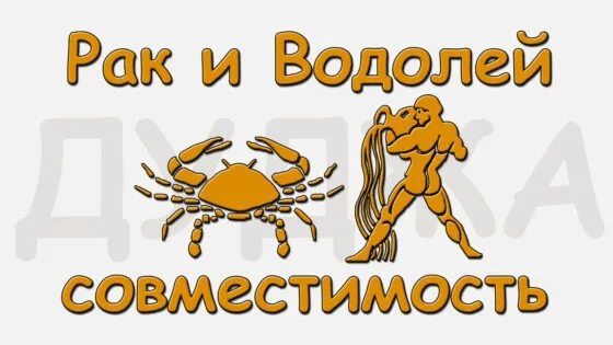 ;Tyobyf HF ve;xbyf HFR cjdvtcnbvjcnm. Совместимость Водолея. Водолей и Скорпион совместимость в любви. Скорпион и Водолей.