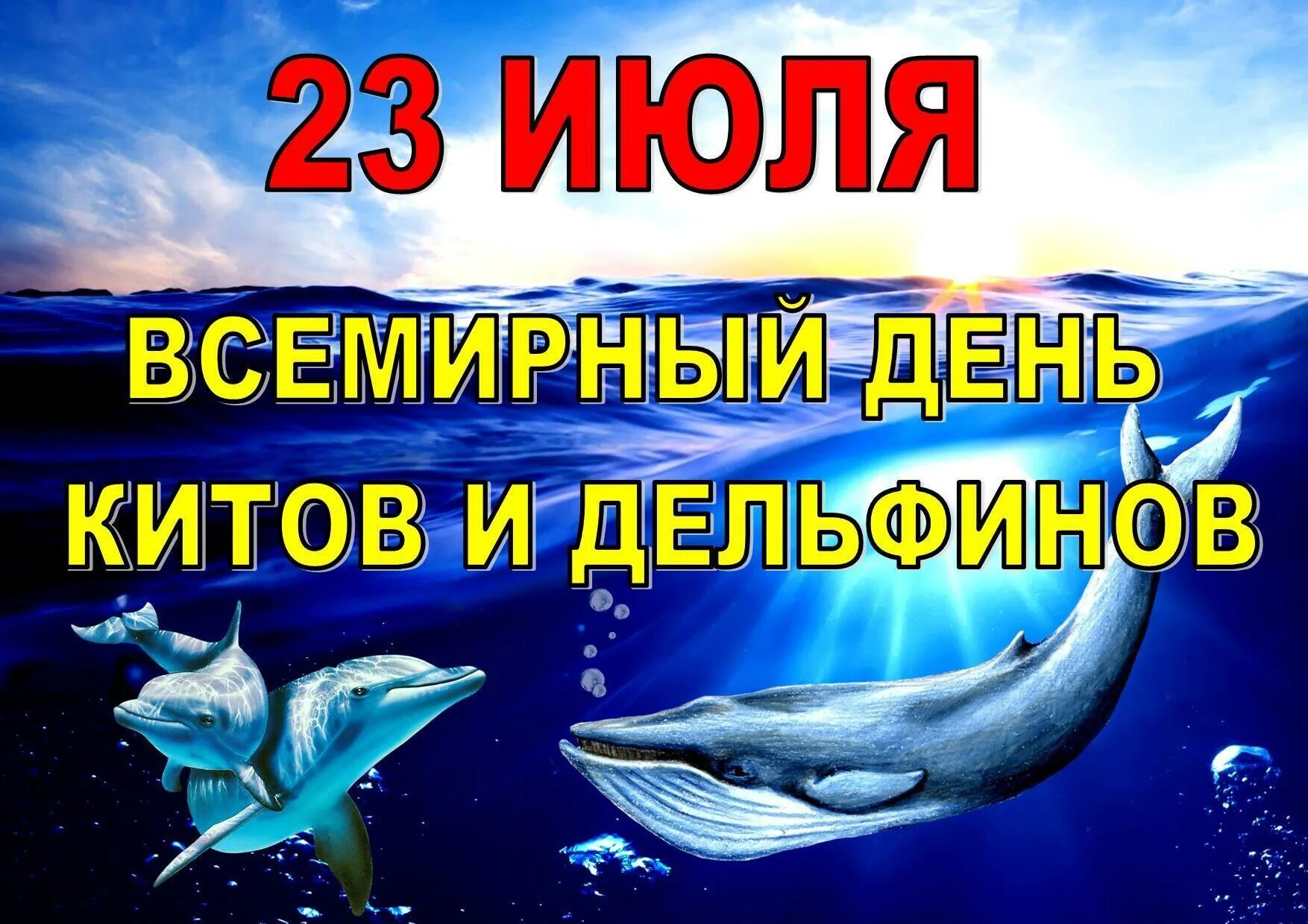 Праздники 23 июля 2025. 23 июля всемирный день китов и дельфинов. 23 июля - всемирный день китов и дельфинов (с 1986 г.). 23 июля праздник китов и дельфинов. 23 июля день дельфинов.