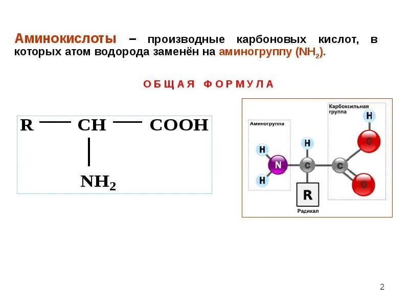 Аминоуксусная кислотой является