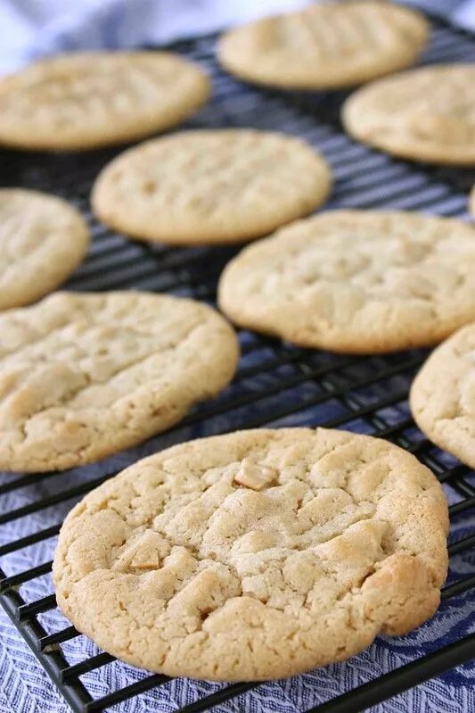 Condensed Milk Chocolate Chip Cookies Recipe Milk chocolate chip cookies, Milk r