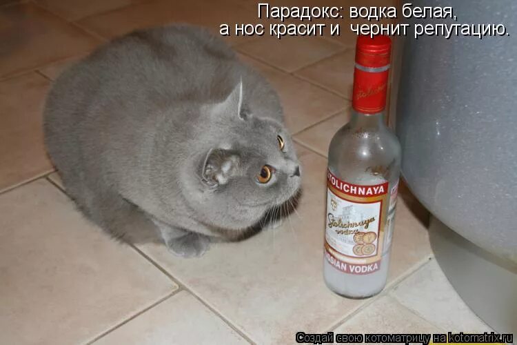 она красит нос но чернит репутацию кроссворд. бернард шоу сигарета это бикфордов шнур. водка белая но красит нос и чернит репутацию. эликсир трезвости наркомания. писатели об алкоголе.