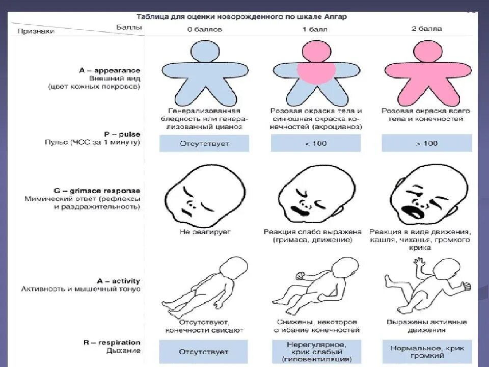 Асфиксия новорожденных по шкале апгар в баллах. Асфиксия новорожденных шкала Апгар. Шкала оценки новорожденных Апгар. Асфиксия новорожденных по шкале Апгар. Тяжелая асфиксия по шкале Апгар.