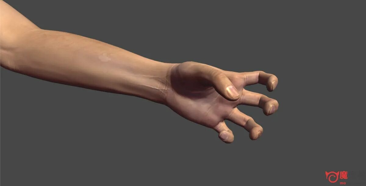 Рука человека. 3d модель руки человека. Палец юнити. Hand unity. Hand unity.