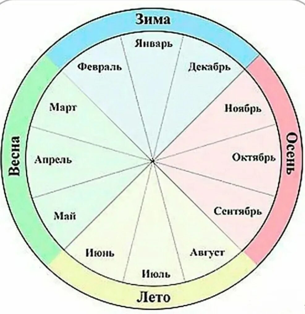 Круги время н. Год и месяцы. Год в виде круга. Месяца года по кругу. Круг месяцев.