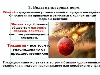Признаки культурных норм