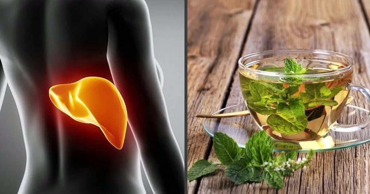 И тем самым очищают. Напитки для очищения печени. Напитки восстанавливающие печень. Очищение организма от шлаков. Умывание лица девушка.