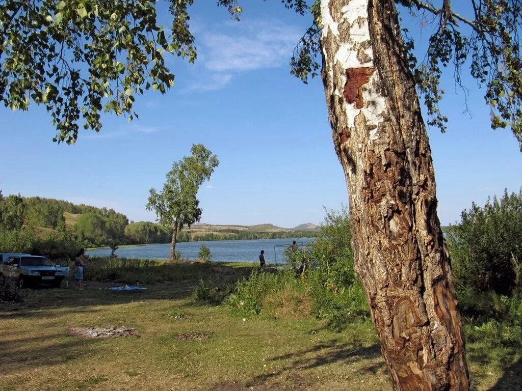 Озера чапаевска. Озеро березовое самарская область чапаевск. Озера чапаевска. Озеро дунай чапаевск. Чапаевка (река).