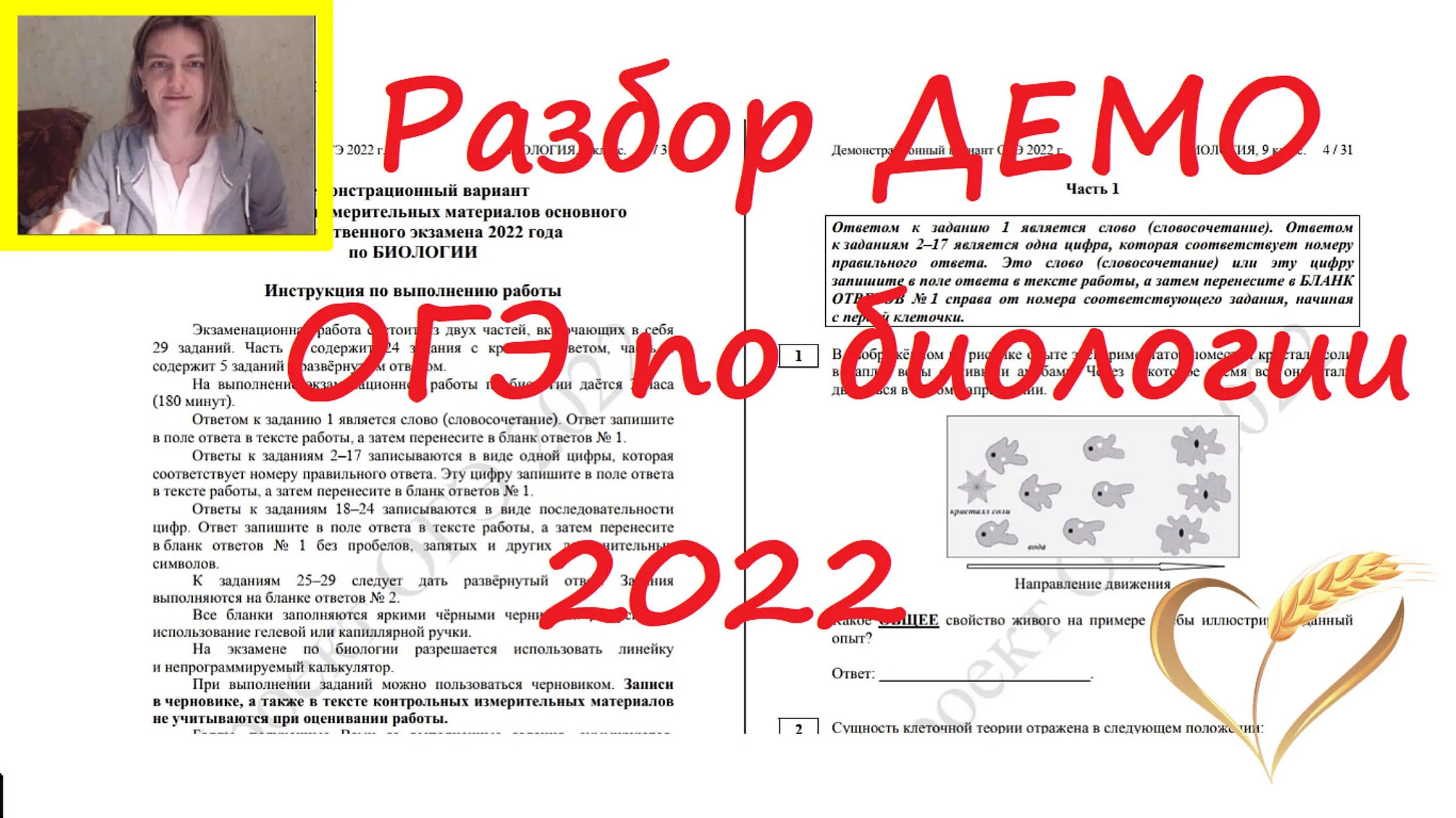 ОГЭ биология 2022 демоверсия. ОГЭ по биологии 2022 демоверсия. Разбор ОГЭ биология. Демонстрационный огэ биология