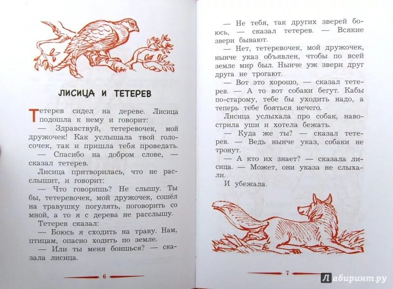 Лиса и тетерев сказка. Лиса и тетерев читать. Сказка лисица и тетерев текст сказки. Лиса и тетерев русская народная сказка.