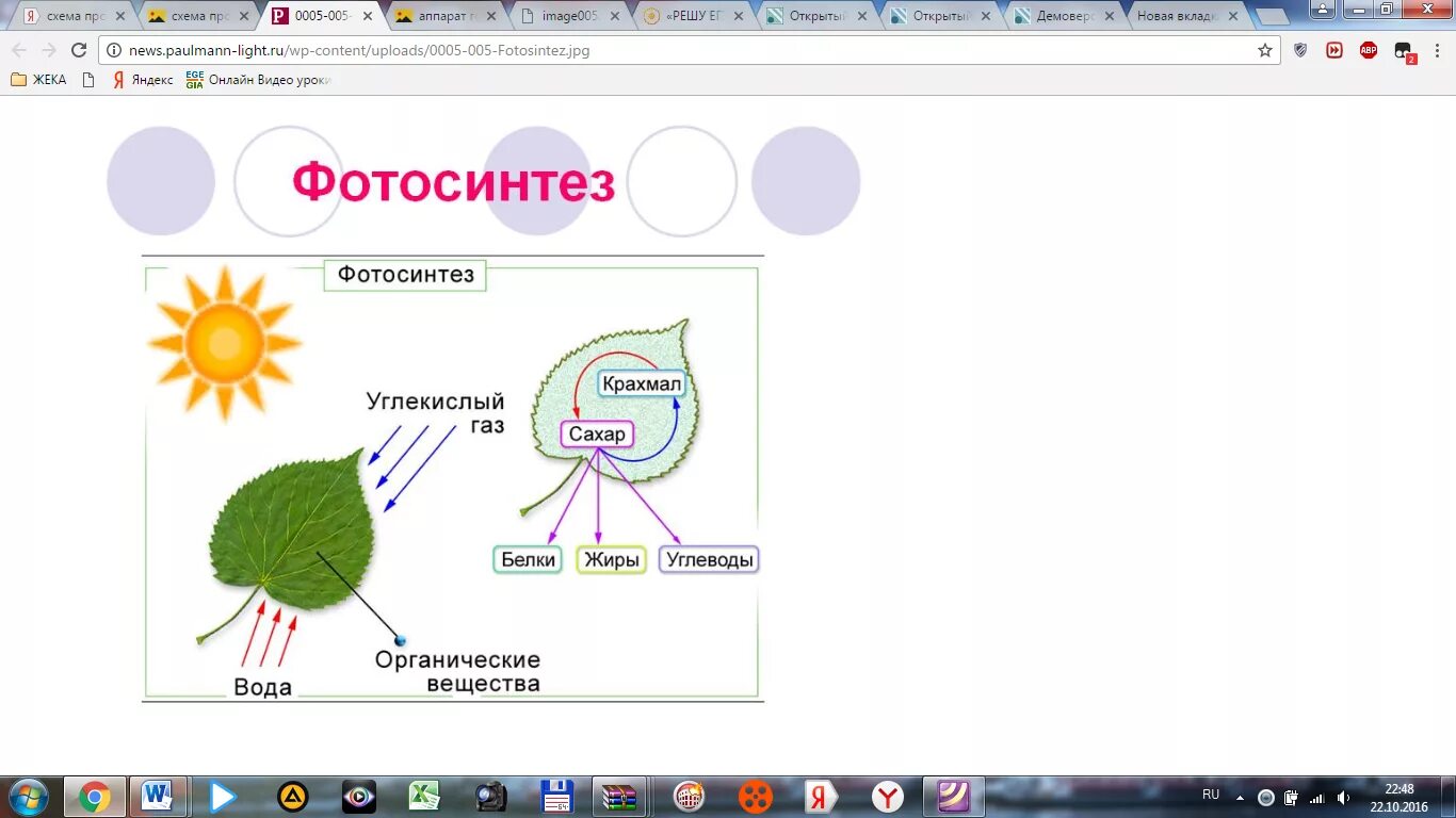 Задания по теме фотосинтез 6 класс. Ментальная карта фотосинтеза 10 класс. Схема процесса фотосинтеза. Схема фотосинтеза у растений. Схема фотосинтеза 6 класс.
