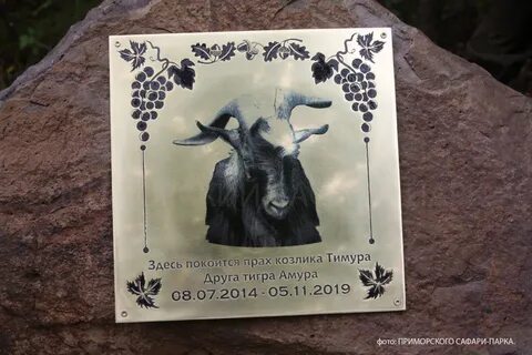 Здесь покоится