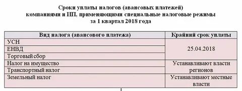 Срок оплаты прибыли за 3 квартал 2024