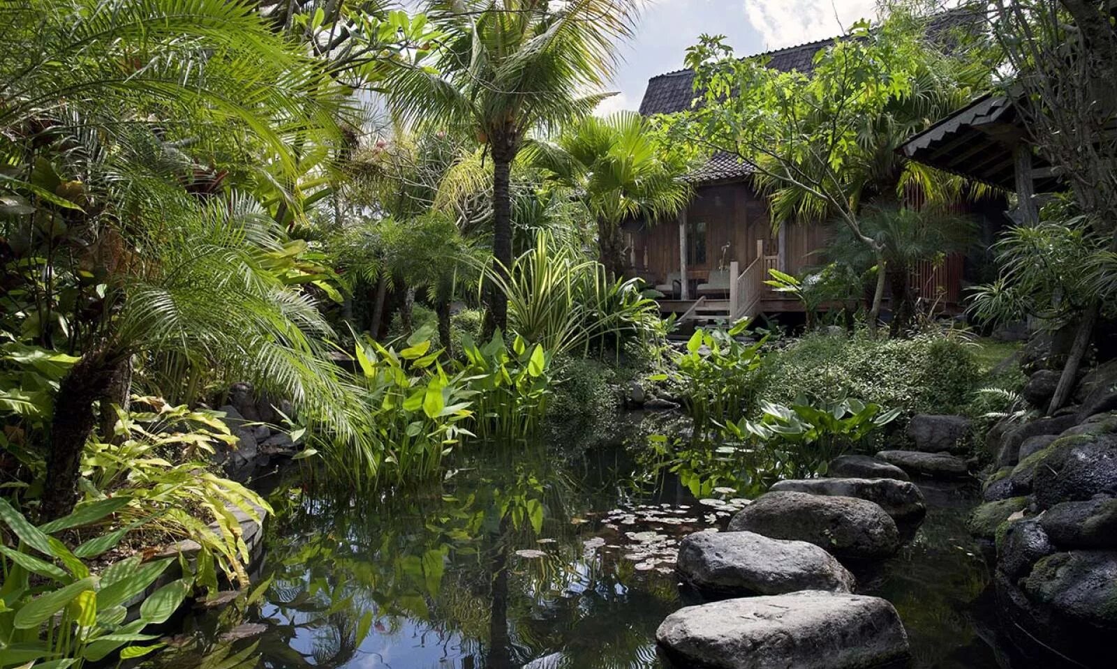 коста рика люди хижина. хижина в джунглях таиланда. Hotel daintree wilderness lodge. калимантан джунгли. шалаш на бали.