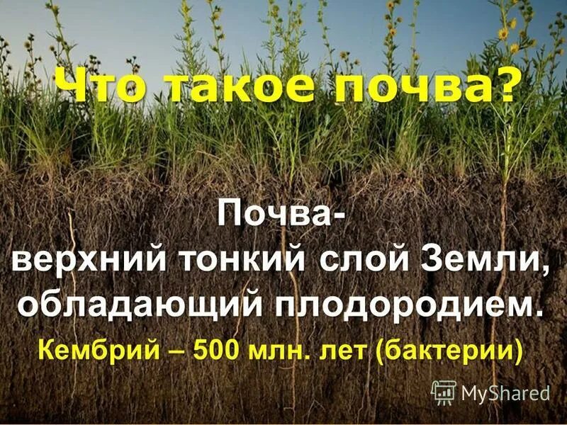 почва плодородие почвы. презентация по теме почва. верхний слой почвы. минеральное питание это кратко. верхний слой почвы обладающий плодородием.