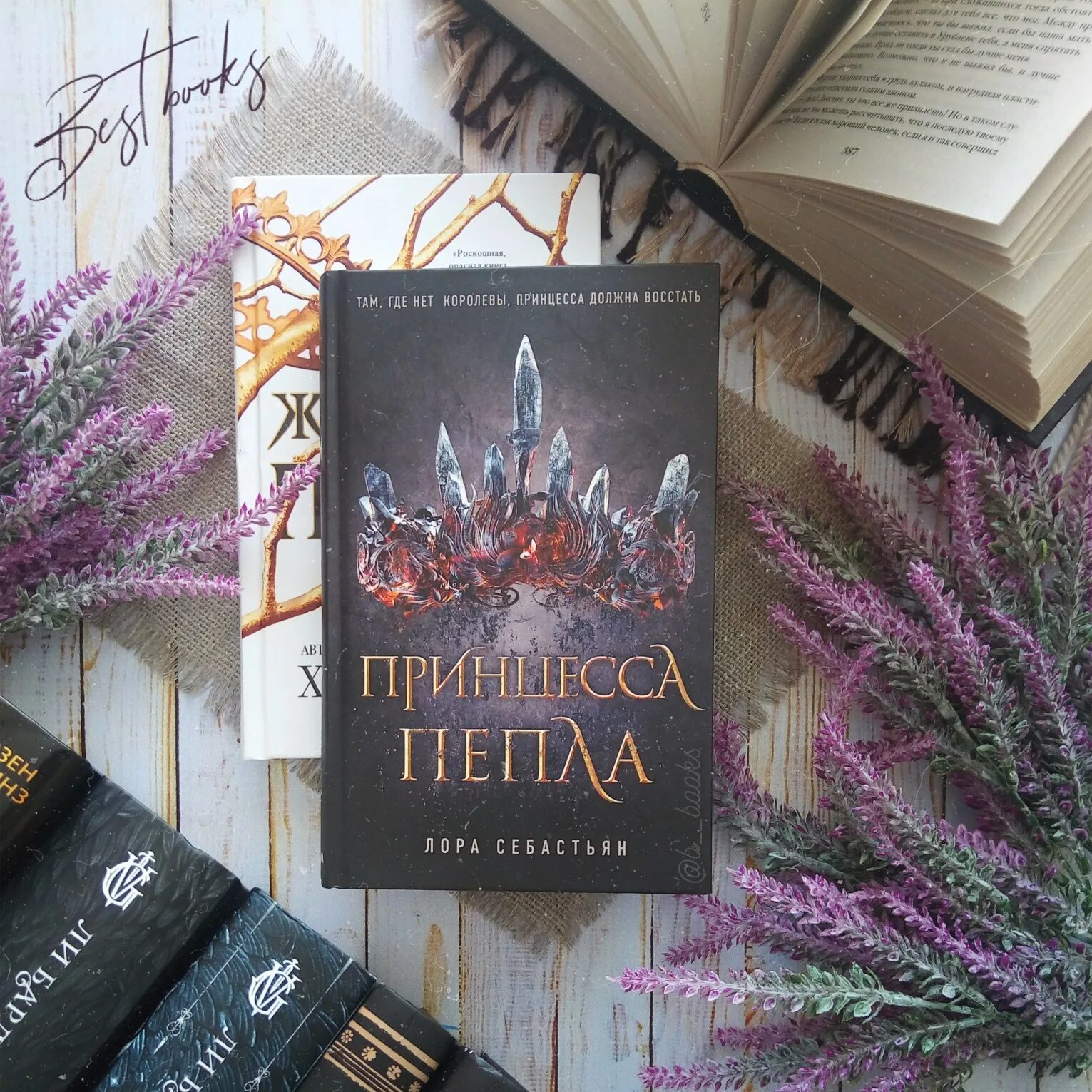 Пепел книга отзывы. Трилогия принцесса пепла. Принцесса пепла книга. Книга принцесса пепла трилогия.