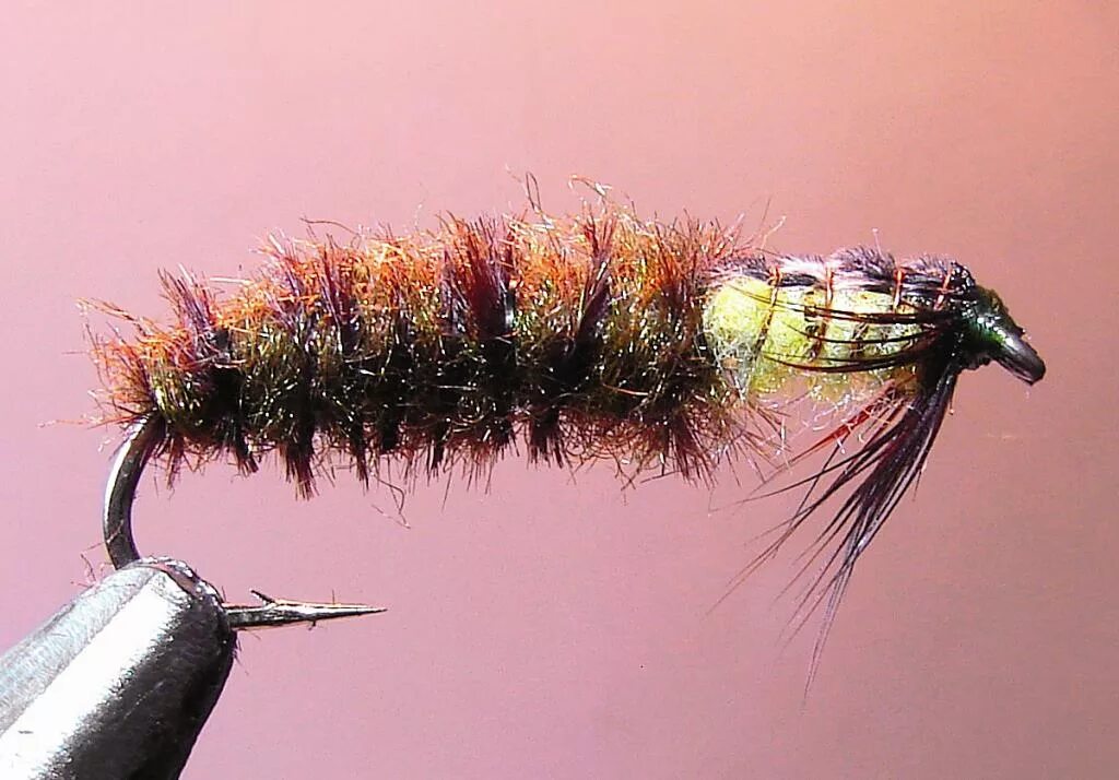 нимфа ручейник. мушка ручейник. мушка ручейник. мушка нимфа ручейника. поденка ручейник.