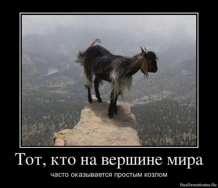 Цитаты про плохих людей. Живи так цитаты. Цитаты про жизнь. Цитаты про сильных женщин. Цитаты про тупик в жизни.