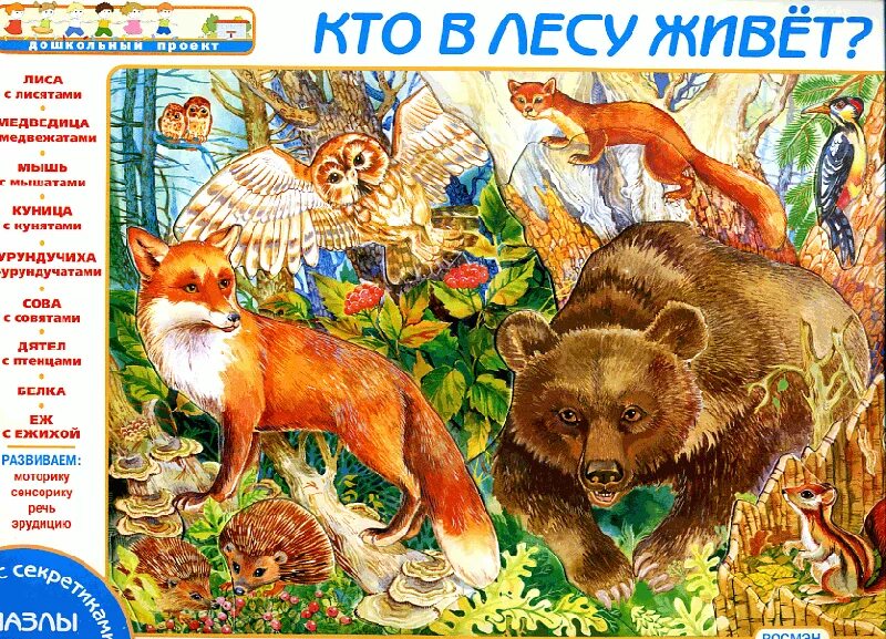 Дикие животные для детей. Maxi-пазлы. Дикие животные для детей. Домашние животные и лесные животные. Животные леса для дошкольников.