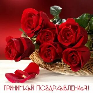 Поздравить дам любимых