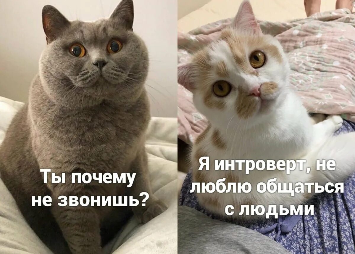Человек который не любит общение