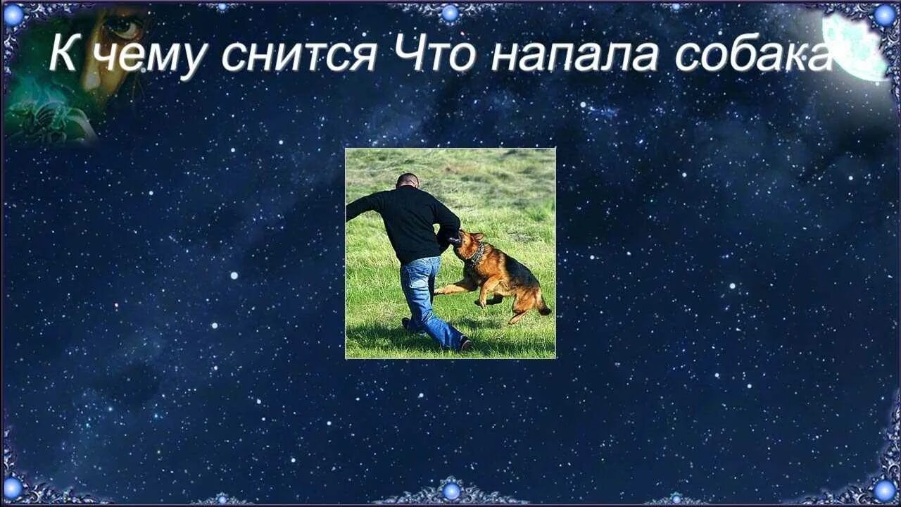 Нападение собаки во сне к чему снится