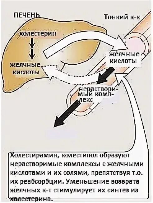 Везикур физомед для лечения желчного пузыря