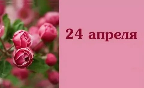 24 февраля именины
