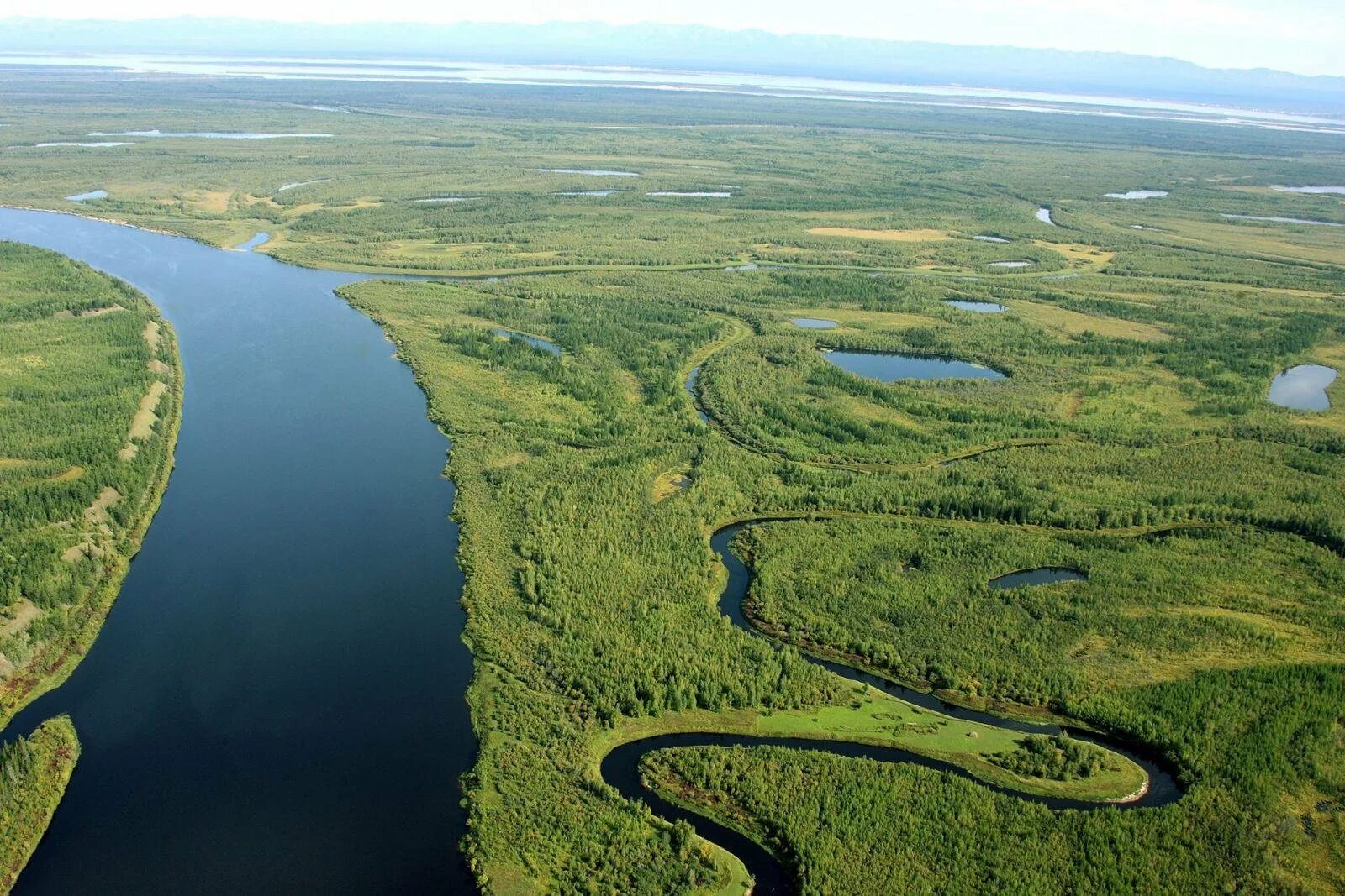 В это море впадает река якутии. Река Устье Дельта Лена. Устье реки Лена. Реки России Лена. Лена река самая длинная река в России.