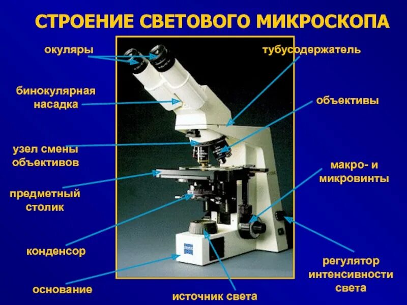 Цифровой микроскоп строение 5. Световой микроскоп строение конденсор. строение микроскопа тубусодержатель. световой микроскоп строение макровинт. строение цифрового микроскопа биология.