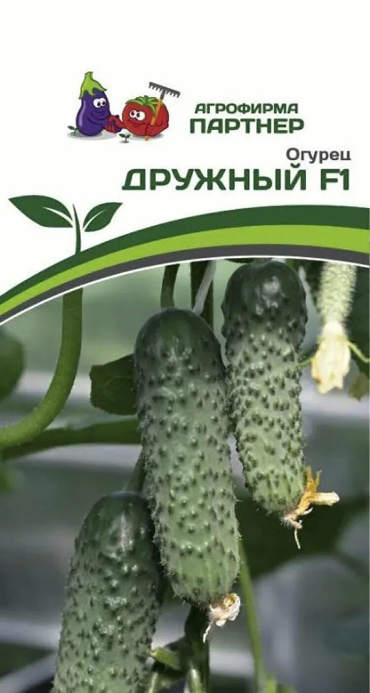 Фирма партнер сорта огурцов. Огурец дружный 10шт партнер. огурец дружный f1. огурец дружная семейка. дружная семейка огурцы фото.