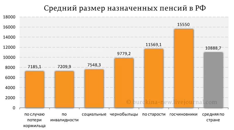 Размер пенсии по случаю потери кормильца 2024. Пенсия по случаю потери кормильца диаграмма. Средний размер назначенных пенсий. Статистика пенсии по случаю потери кормильца. Статистика по пенсии по потере кормильца.