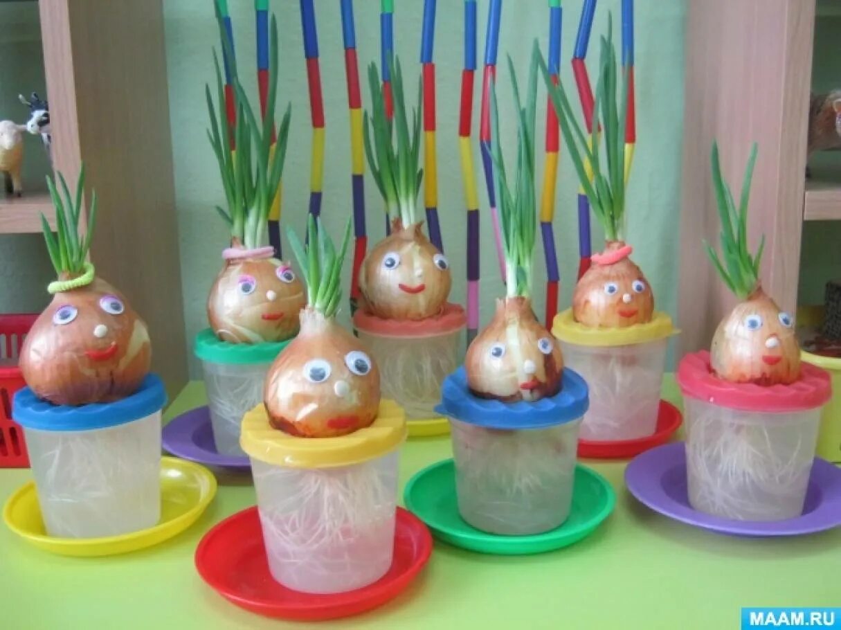 Луковица для детского сада. Выращиваем лук в детском саду. Украсить луковицу в детский сад. Лук в стаканчике в детский сад.