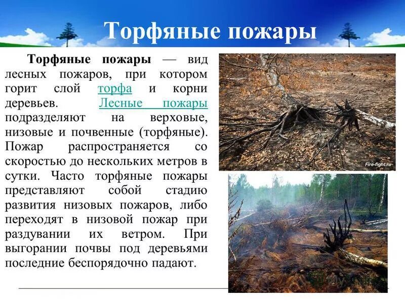 Торфяной пожар определение. Торфяной пожар характеристика. лесные и торфяные пожары. торфяные пожары это кратко. возникновение торфяных пожаров.