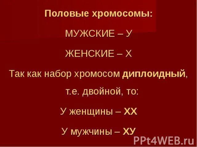 Половые хромосомы. Набор половых хромосом у мужчин. Набор половых хромосом у женщины:. В норме набор половых хромосом у мужчины. Х хромосома это мужская