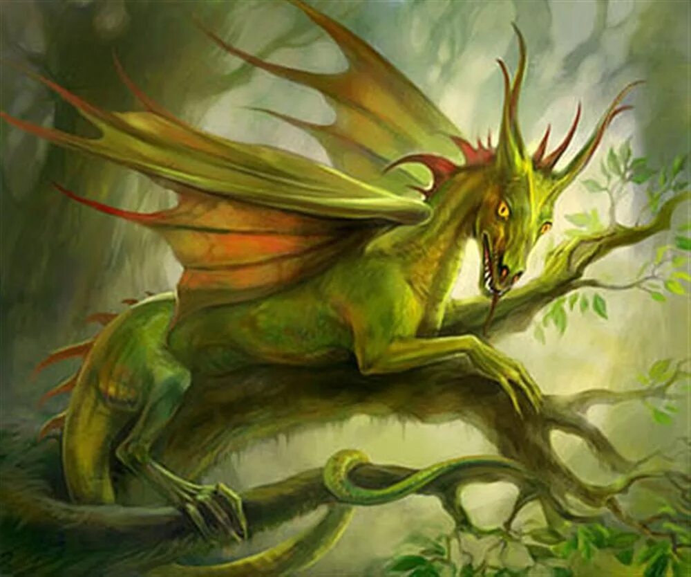 Рисунок зеленого деревянного дракона. Дракон. Лесной дракон. Зеленый деревянный дракон. Земной дракон.