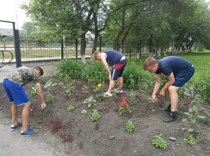 Дети на пришкольном участке. Пришкольный участок. Летний труд на пришкольном участке. Пришкольный участок в школе. Пришкольный замечена никакой ешьте