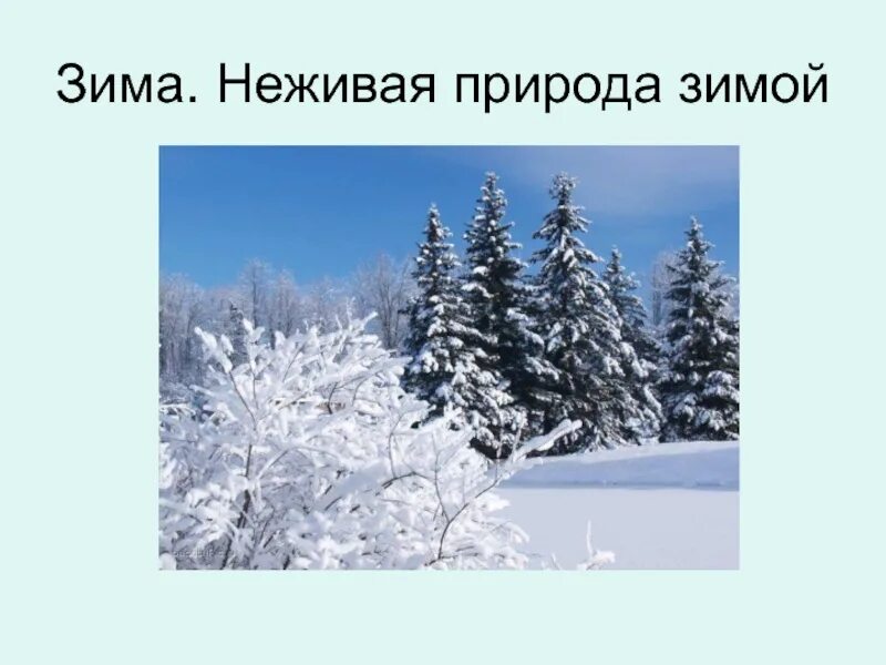 Изменения в неживой природе зимой биология. Зима в неживой природе. Неживая природа зимой. Зимние изменения в живой и неживой природе. Неживая природа зимой 2 класс.