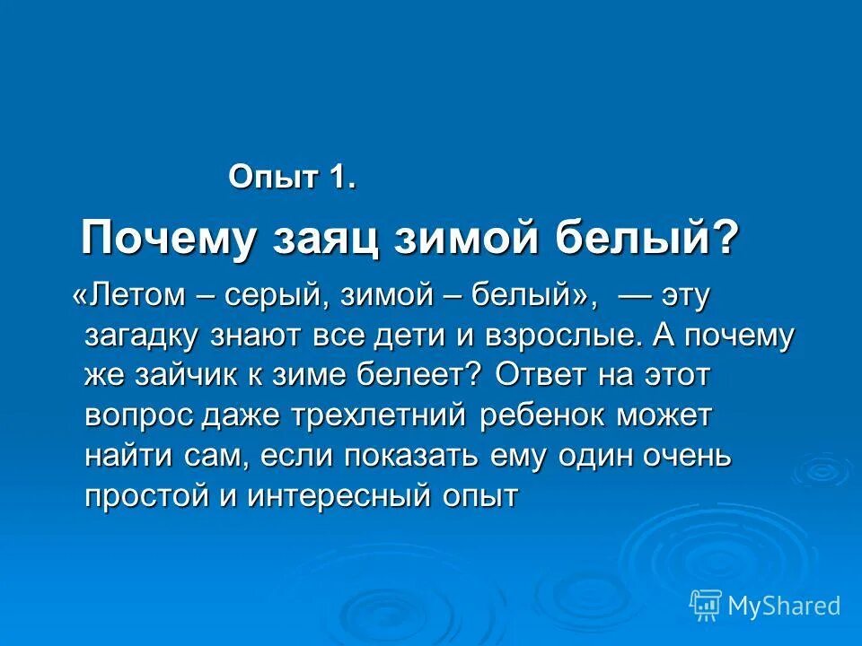 Заяц белый и серый. Заяц зимой. Заяц летом серый а зимой белый. Зимой заяц меняет серую шубку на белую. Скидка зайца.