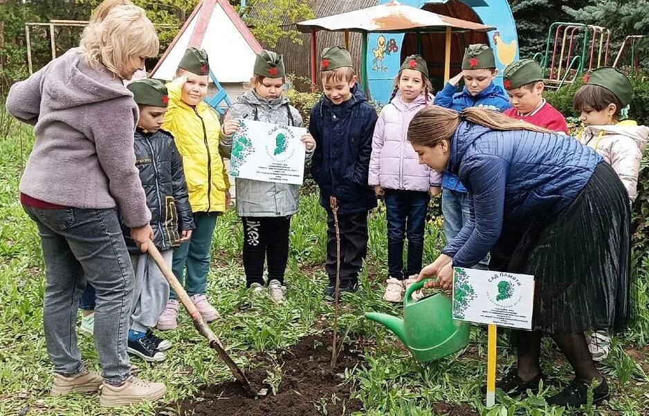 Сад памяти 2025 сколько деревьев. Посадка деревьев. посадка деревьев акция. день дерева. сад победы.