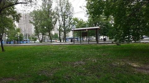 Погода лианозово