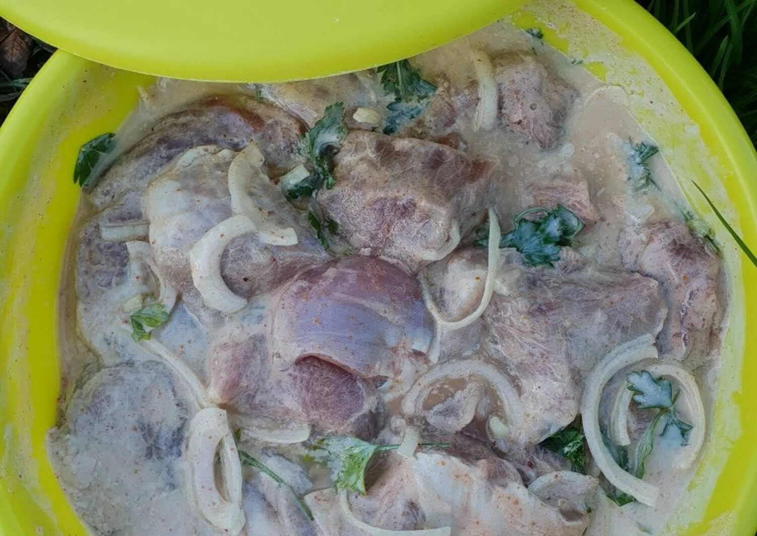 Как замариновать шашлык в кефире. Маринад для шашлыка. мариновка шашлыка. шашлык маринованный в кефире. шашлык на кефире из свинины.