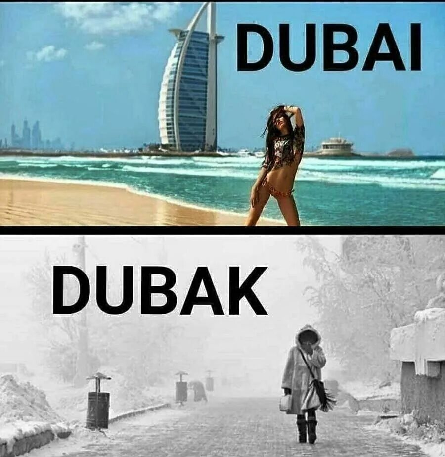 Я увезу твою