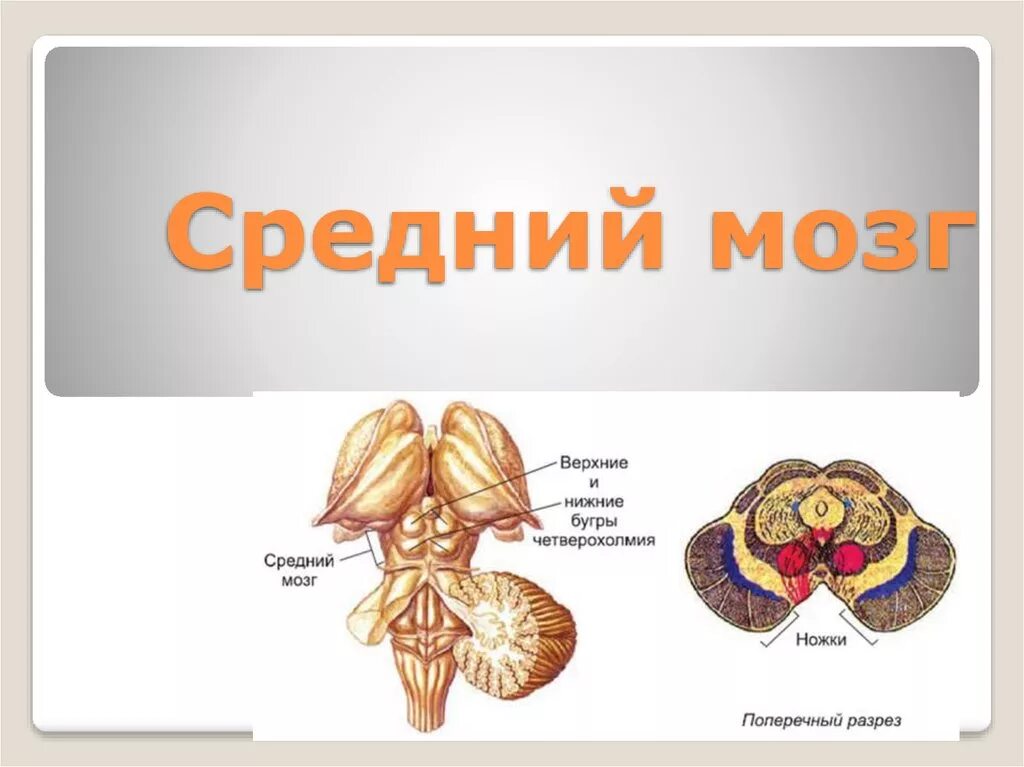 Слово холмик. Холм однокоренные слова. Слово холмик. Слово холмик. Слово холмик.