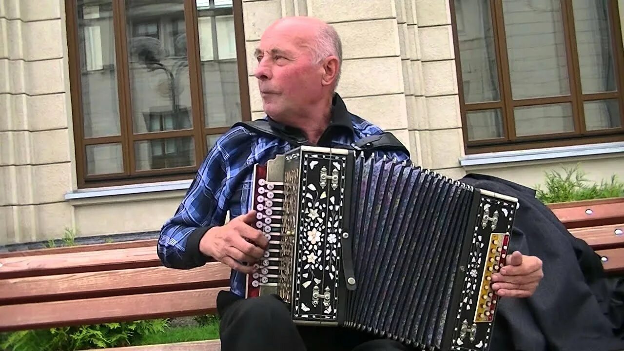 Песни на гармони видео. Гармонист на свадьбе. Свадьба под гармошку. Гармонь на свадьбе. Частушки под гармонь на свадьбе.