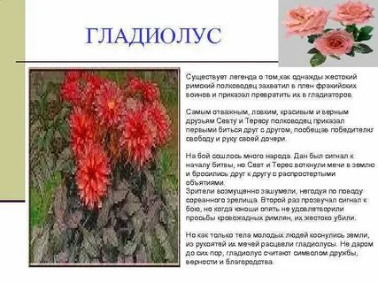 Легенда о цветке 2 класс