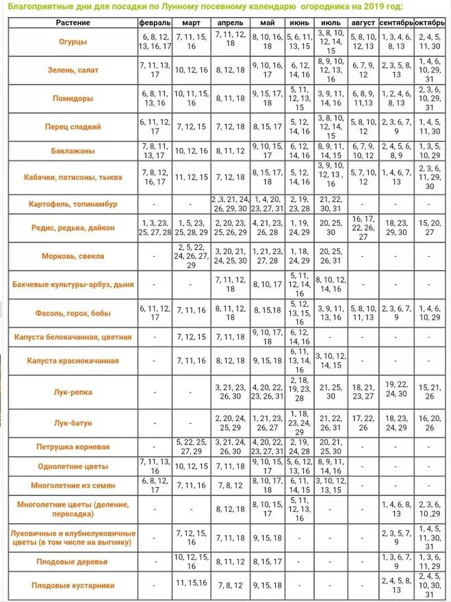 Когда садить в апреле по лунному календарю. Календарь посева семян в открытый грунт. Благоприятные дни для посева лунный календарь. Календарь высадки рассады в открытый грунт. Пересадка овощей по лунному календарю.