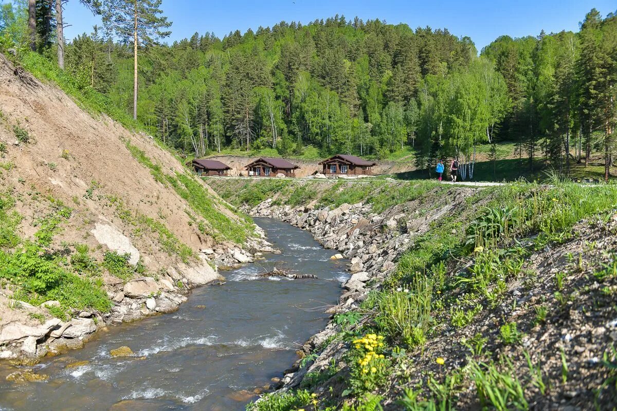 Река Заимка Тобольск. Лесная речка сказка. Красногорская Заимка Сахалинская область. Заимка у реки. Лесная заимка сайт