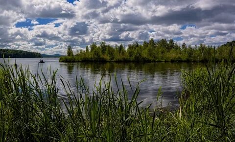 Рыбное озеро