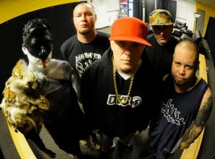 Bizkit dog