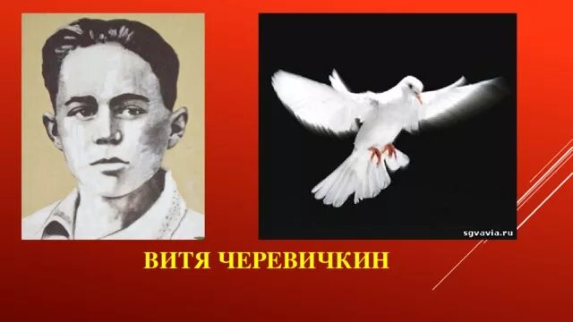 Витя Черевичкин и голуби.